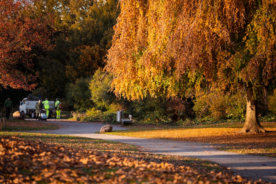Roundwood Park bulky rubbish collection insider tips Willesden
